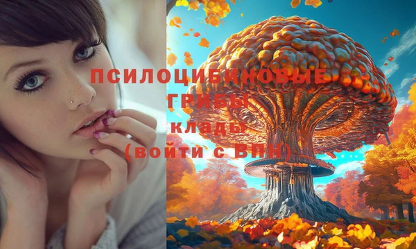 ALPHA PVP Беломорск