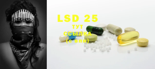 PSILOCYBIN Балабаново