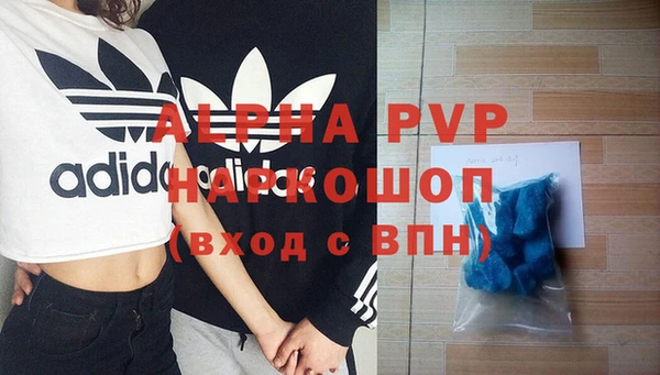 PSILOCYBIN Балабаново