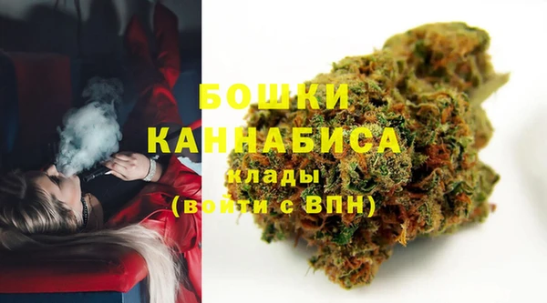 a pvp Белокуриха